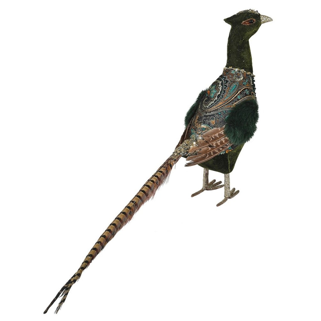 pheasant