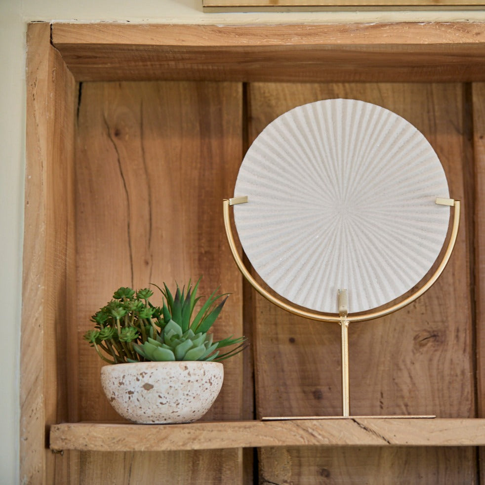 Disc and Faux Succulent on a shelf